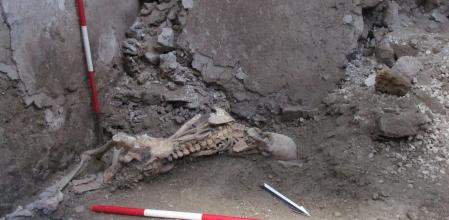 Uno de los esqueletos encontrados recientemente en la 