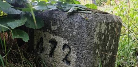 Monolito 472 entre vegetación.