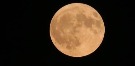 Luna de esturión en detalle.