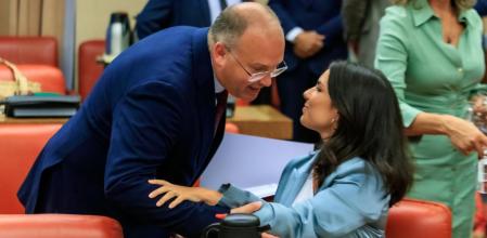 El portavoz del PP, Miguel Tellado, saluda a la de Vox, Pepa Millán, en la diputación permanente del Congreso