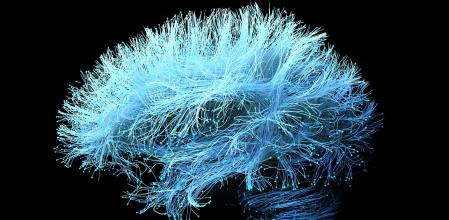 Ilustración de redes neuronales del cerebro humano elaborada a partir de imágenes de resonancia magnética