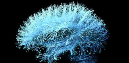 Ilustración de redes neuronales del cerebro humano elaborada a partir de imágenes de resonancia magnética