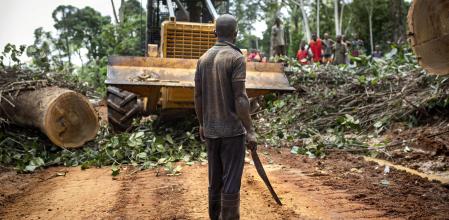 Deforestación en el río Congo
