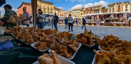 Parada del mercado la Plaça Major de Vic con setas del Ripollès.