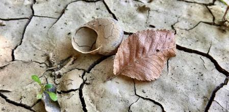 Sequía persistente en Catalunya en otoño.