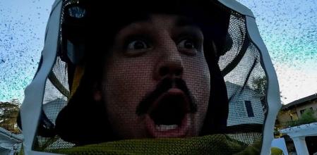 Cómo sobrevivir a un tornado de abejas yahoo respuestas.