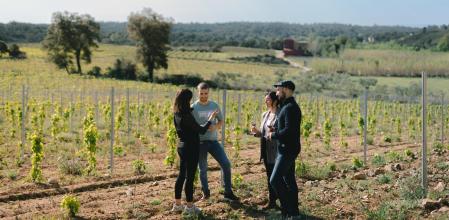 ACTIVIDADES ENOTURISMO Vinyes d'Olivardots