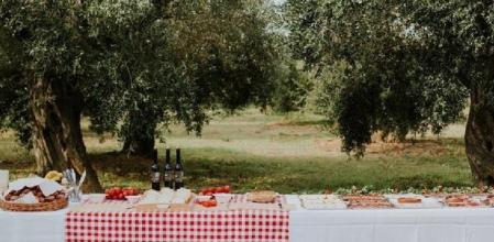 La Vinyeta bodega picnic