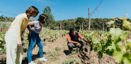 Clos d'Agon visita con enólogo