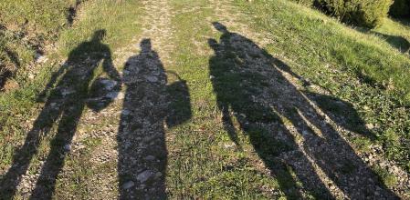 UN GRUPO DE AMIGOS RECOGIENDO SETAS EN LA COMARCA DEL BERGADA ESTA SEMANA