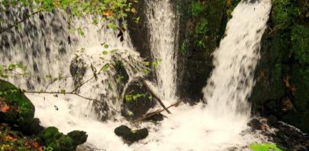 Las fuentes de Ogassa tras las últimas lluvias de noviembre.