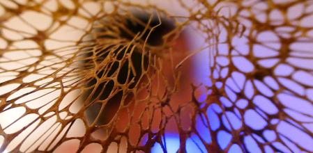 El impactante descubrimiento de la memoria.