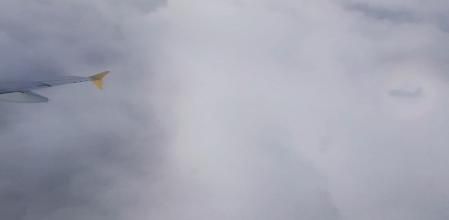 La gloria o corona de Ulloa.