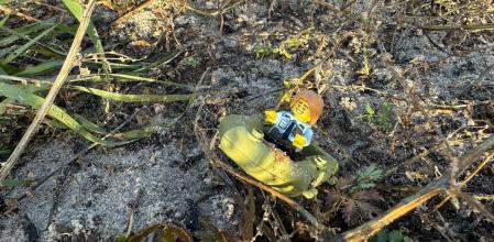 Estas piezas llevan más de dos décadas llegando a la playa