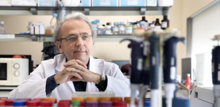 Josep Maria Llovet, especialista en cáncer de hígado, en el instituto Idibaps del hospital Clínic