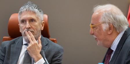 El ministro del Interior, Fernando Grande-Marlaska, y el director general de Tráfico, Pere Navarro, durante una rueda de prensa, en la Dirección General de Tráfico, el 10 de enero de 2025 .