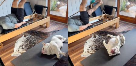 bulldog pilates