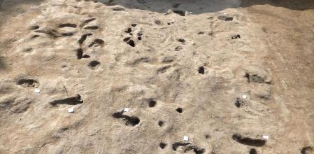 Algunas de las huellas que dejaron los humanos y los animales cuando huían de la erupción del Vesubio en plena Edad de Bronce