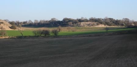 Reto visual: ¿Eres capaz de ver a las tres aves?