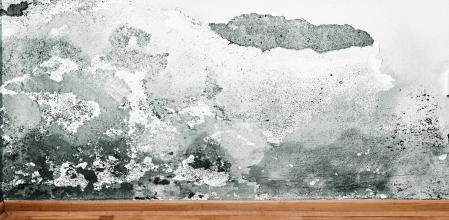 Humitat-Stop es el único sistema que ofrece una garantía de secado<br>