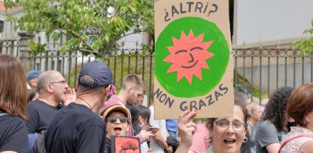 La celulosa de la discordia