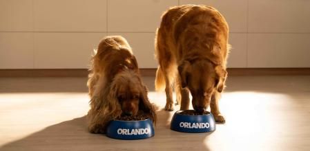 Las gamas de alimentación para mascotas Orlando y Coshida se caracterizan por su gran relación calidad-precio