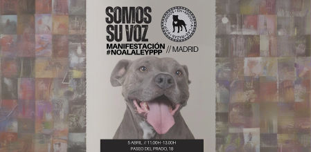 Madrid acoge una manifestación para exigir la derogación inmediata de la injusta Ley PPP