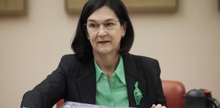 La presidenta de la CNMC, Cani Fernández, comparece en la Comisión de Economía en el Congreso de los Diputados en Madrid