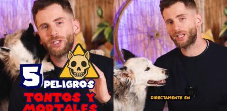 Ninja Skadi explica 5 peligros cotidianos a los que están expuestos los perros y con los que hay que tomar precauciones