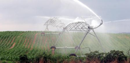 VILOBI D'ONYAR 30/08/07 CAMPO DE MAIZ RIEGO POR ASPERSION AGUA CEREALES REGAR AGRICULTURA SEMBRADO