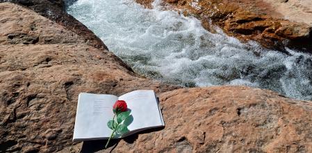 Foto simbólica del día de Sant Jordi en la Riera de Rellinars.