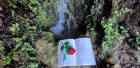 La fuente del Foradot, en Mura, con una rosa y un libro.