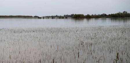 Marismas inundadas en el Parque Natural de Doñana, en el sur de España, tras las fuertes lluvias de marzo y abril