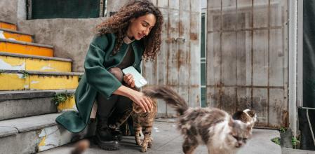 Pasos clave para proteger gatitos sin separarlos de su madre