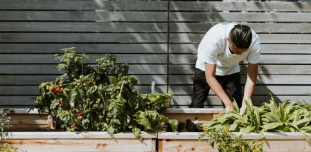 El abono es fundamental para que las plantas florezcan y se desarrollen adecuadamente.