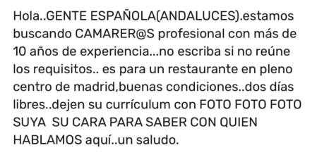 La oferta de trabajo publicada en internet para buscar camarero