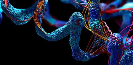 El klotho es una proteína que se asocia con el envejecimiento. En la imagen, una ilustración de una proteína.