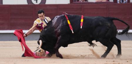 Tomás Rufo recibe al toro de rodillas en su faena de muleta&nbsp;