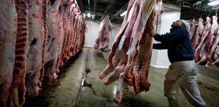 La sala de despiece de un matadero de Catalunya&nbsp;