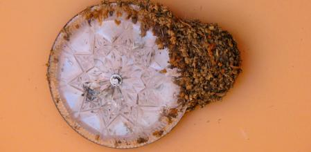 El nido de las golondrinas que están construyendo en un foco de luz, en el jardín de las clarisas de Vilobí d'Onyar.