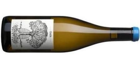 AOC Muscadet Sévre et Maine, Loira-Francia; Jèrôme Bretaudeau