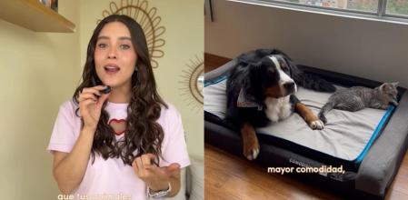 La veterinaria Laura Londoño