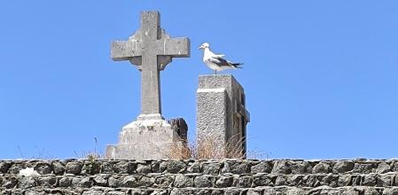 Las alas de la memoria en el cementerio de Montjuïc.