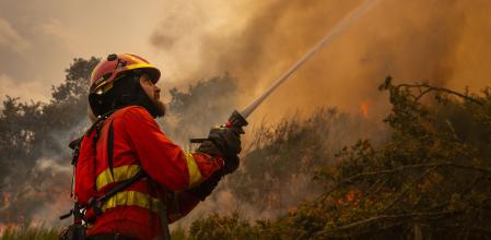 Un bombero ataca las llamas en el incendio forestal de Chandrexa de Queixa (Orense), este martes&nbsp;
