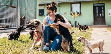 Paula Calvo, antrozoóloga: “Si tu perro te mira constantemente antes de hacer algo no es dependencia. Es incertidumbre”