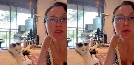 Paula Calvo, antrozoóloga: “Los gatos no reaccionan a la presión, no necesitan entusiasmo humano sino que necesitan observación, silencio y seguridad”