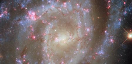 Imagen tomada por el Hubble de la galaxia espiral NGC 2835.