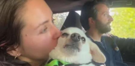 La pareja junto a su perrito