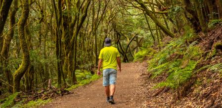 El parque nacional de Garajonay, en La Gomera, ofrece un espectáculo visual