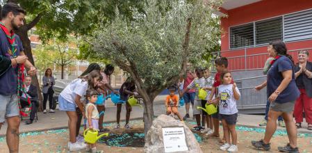 Niños regando el olivo plantado en homenaje a Josep Gassó, este lunes en el barrio de Bellvitge de l'Hospitalet de Llobregat&nbsp;